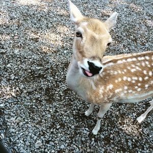 Meet your Posher, Jo
